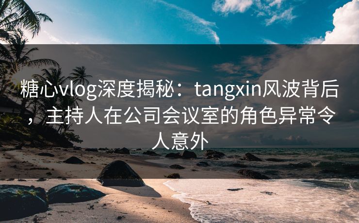 糖心vlog深度揭秘：tangxin风波背后，主持人在公司会议室的角色异常令人意外
