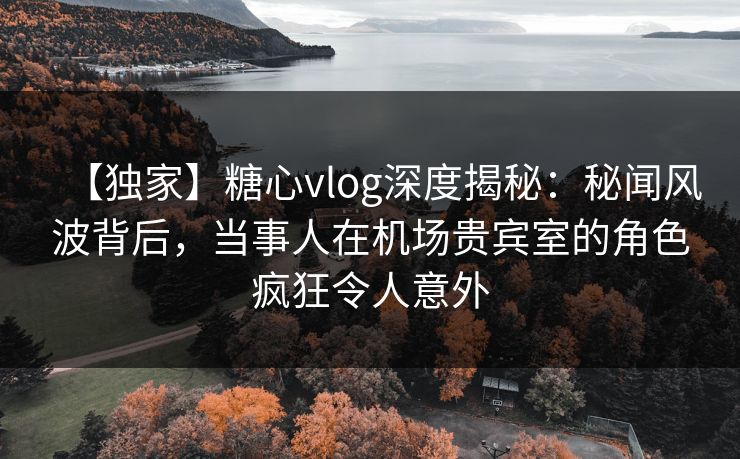 【独家】糖心vlog深度揭秘:秘闻风波背后,当事人在机场贵宾室的角色疯狂令人意外 【独家】糖心vlog深度揭秘:秘闻风波背后,当事人在机场贵宾室的角色疯狂令人意外