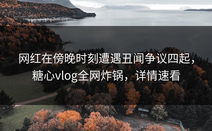 网红在傍晚时刻遭遇丑闻争议四起,糖心vlog全网炸锅,详情速看 网红在傍晚时刻遭遇丑闻争议四起,糖心vlog全网炸锅,详情速看